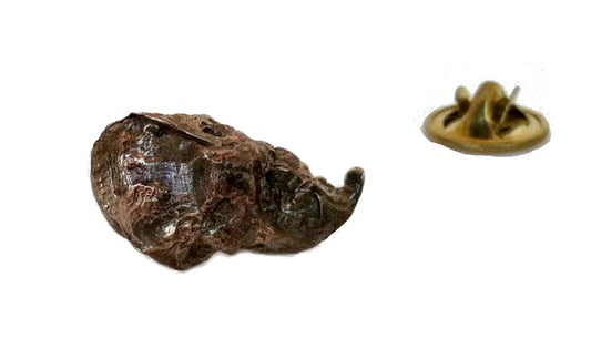 Bronze Oyster Shell Pin
