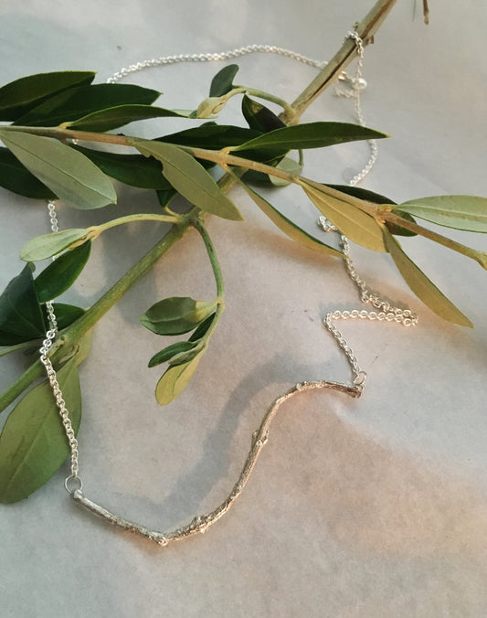 cast from an ancient olive grove in sparta