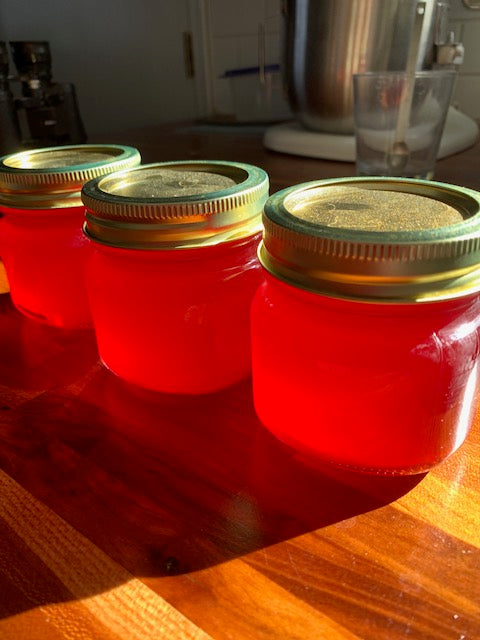 three jars of prickly pear jelly glowing  in the sun on a butcher block counter